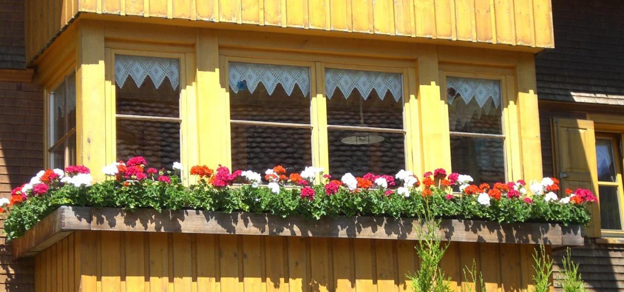 Urlaub bei Moses Apartment Schoppernau Bagian luar foto
